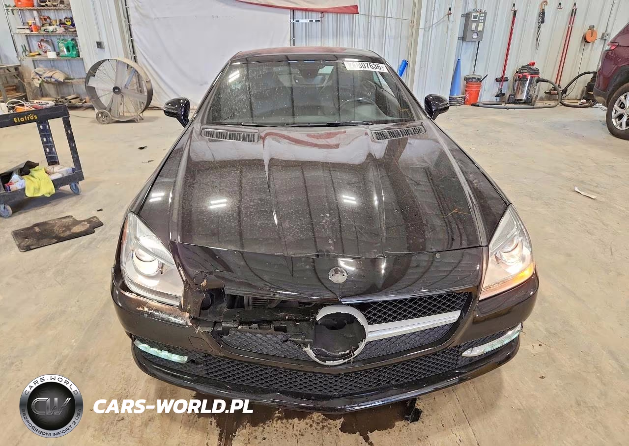 2015 Mercedes-Benz Slk 250 VIN:WDDPK4HA4FF098135 - 5
