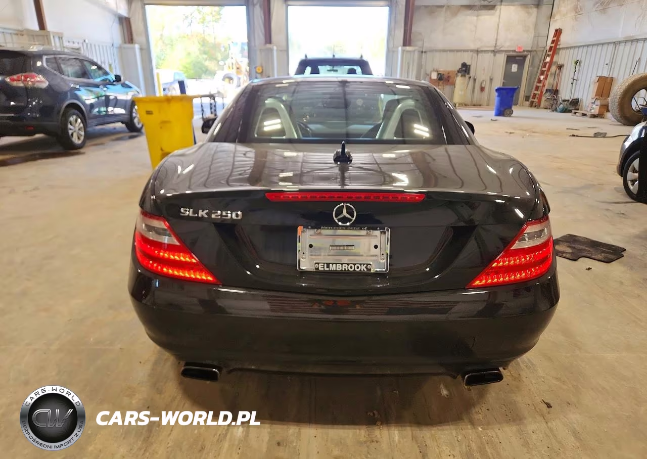 2015 Mercedes-Benz Slk 250 VIN:WDDPK4HA4FF098135 - 6