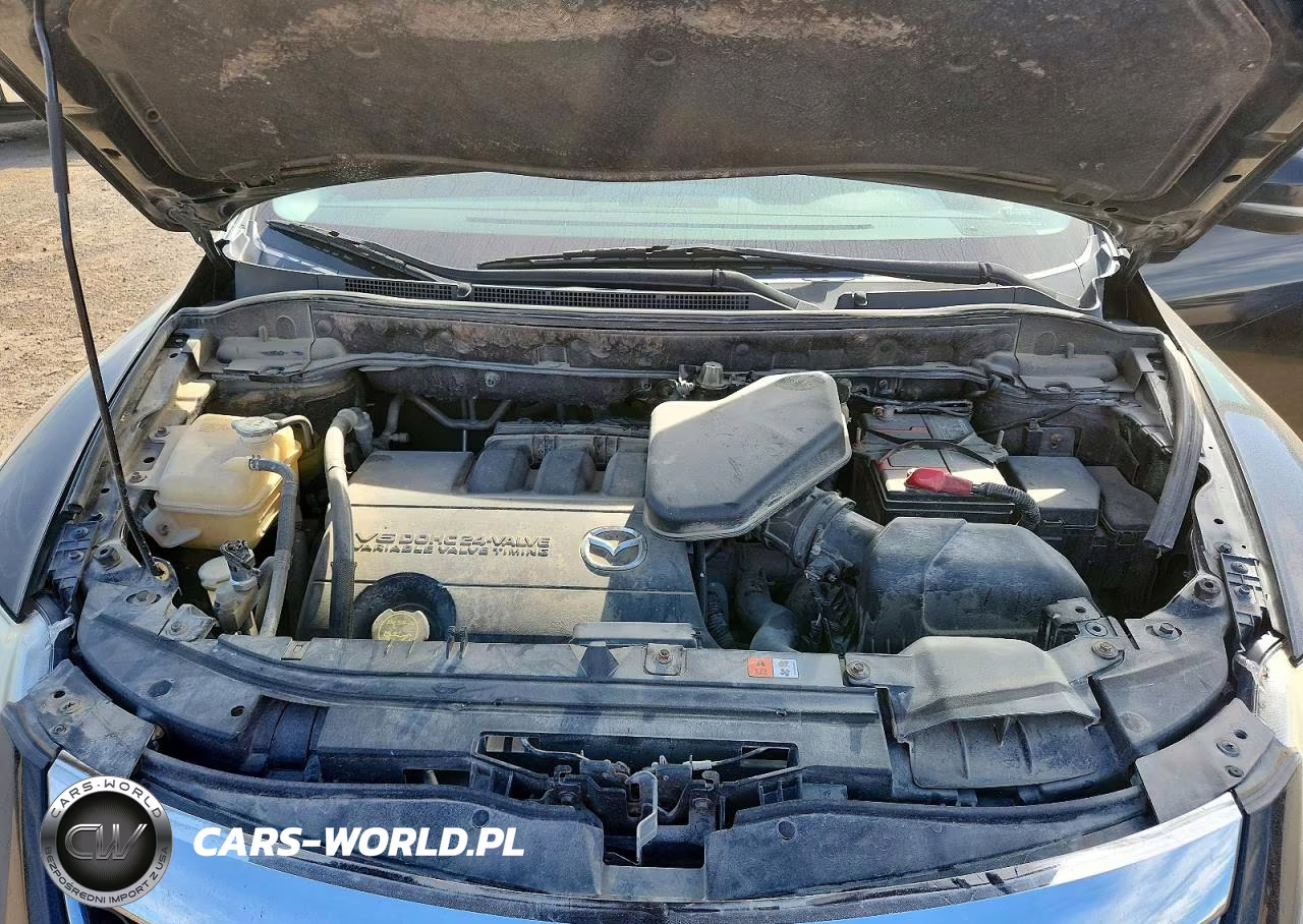 2010 Mazda Cx-9 VIN:JM3TB3MA7A0217551 - 12