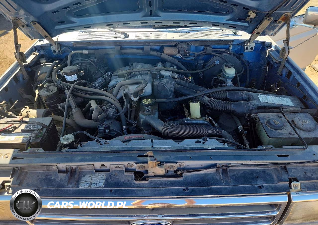 1989 Ford Bronco U100 VIN:1FMEU15Y8KLA14871 - 12