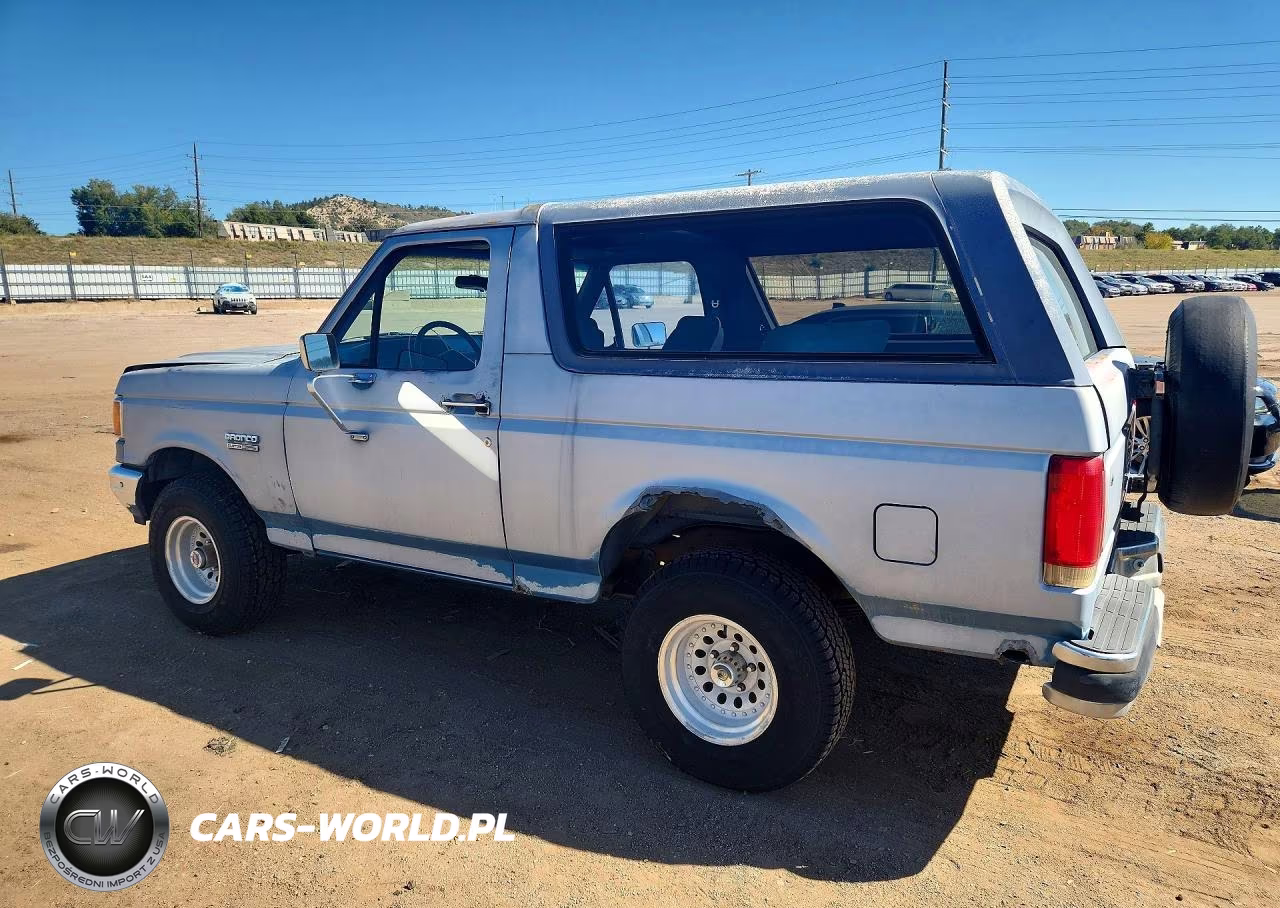 1989 Ford Bronco U100 VIN:1FMEU15Y8KLA14871 - 2