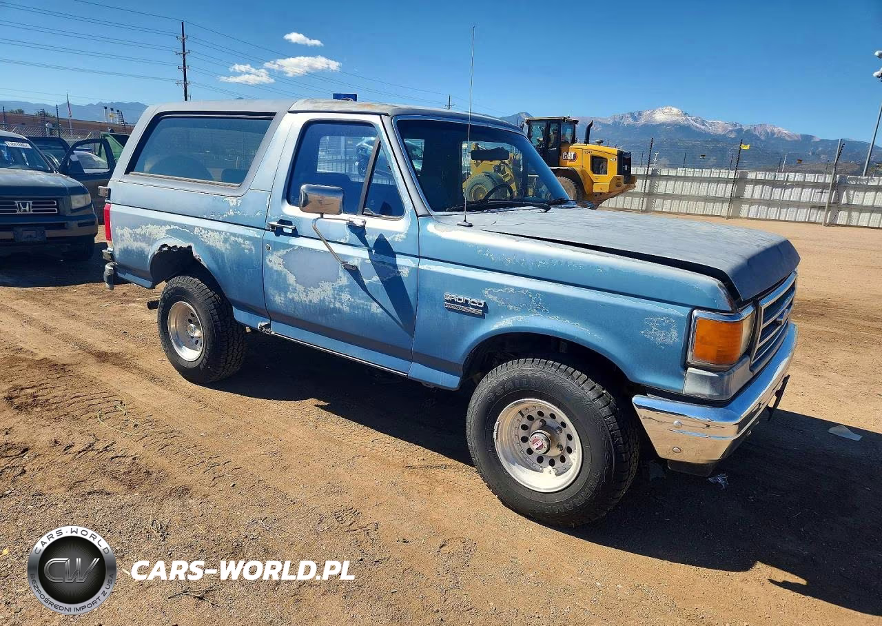 1989 Ford Bronco U100 VIN:1FMEU15Y8KLA14871 - 4
