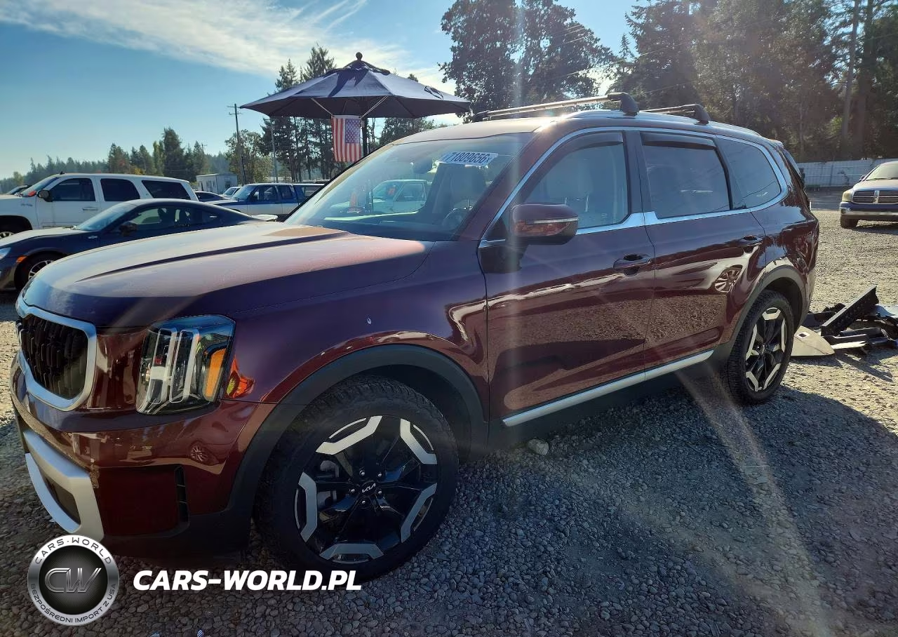 2023 Kia Telluride Ex VIN:5XYP3DGC2PG340185 - 1