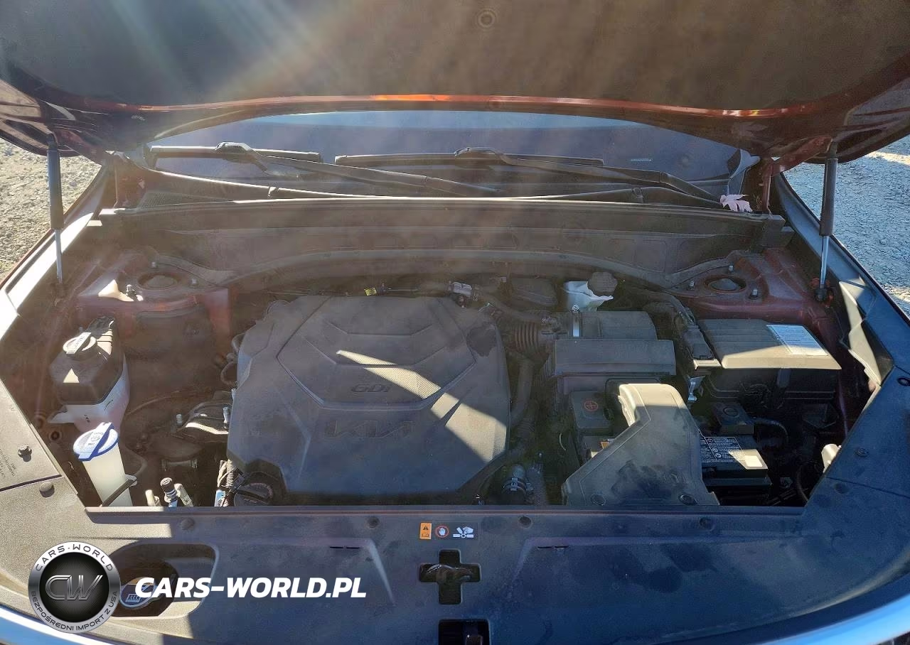 2023 Kia Telluride Ex VIN:5XYP3DGC2PG340185 - 12