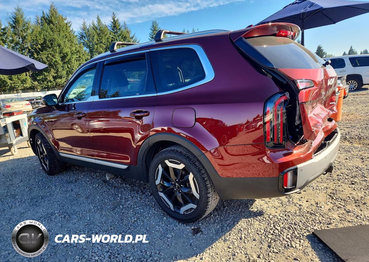 2023 Kia Telluride Ex VIN:5XYP3DGC2PG340185 - 2