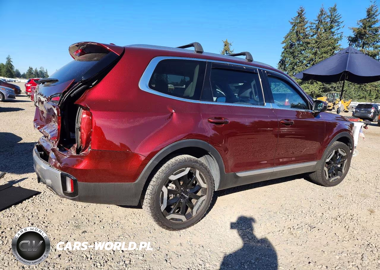 2023 Kia Telluride Ex VIN:5XYP3DGC2PG340185 - 3