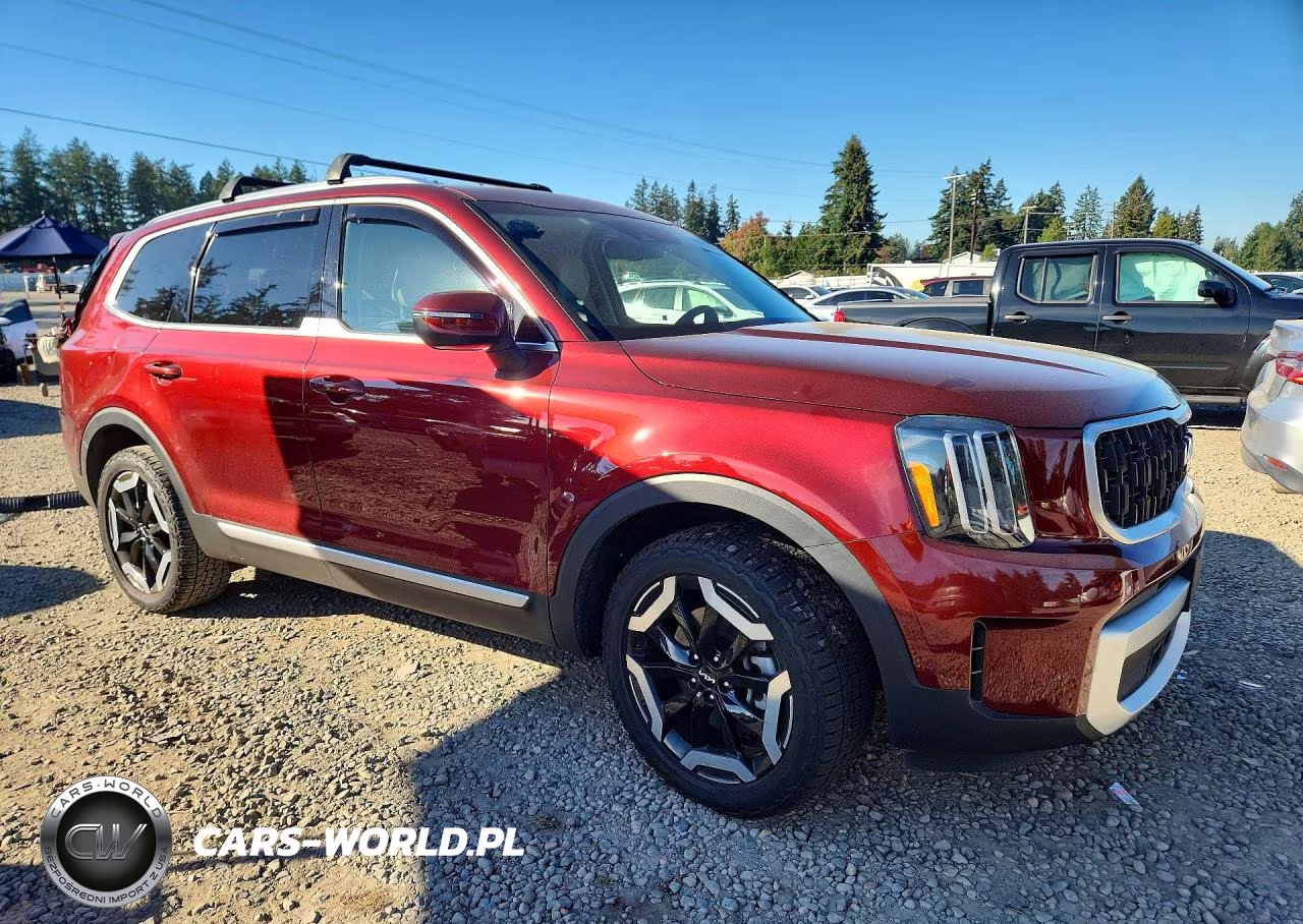 2023 Kia Telluride Ex VIN:5XYP3DGC2PG340185 - 4