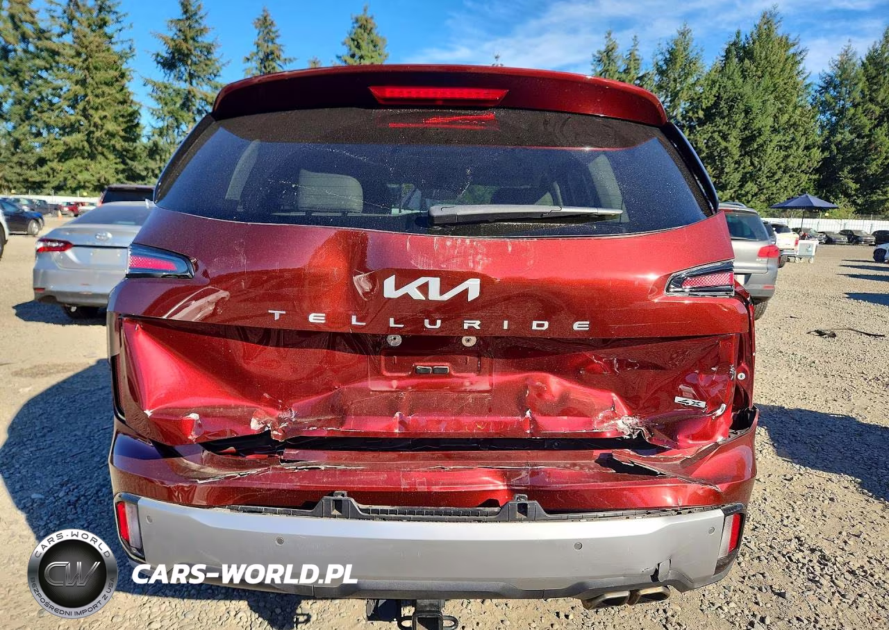 2023 Kia Telluride Ex VIN:5XYP3DGC2PG340185 - 6