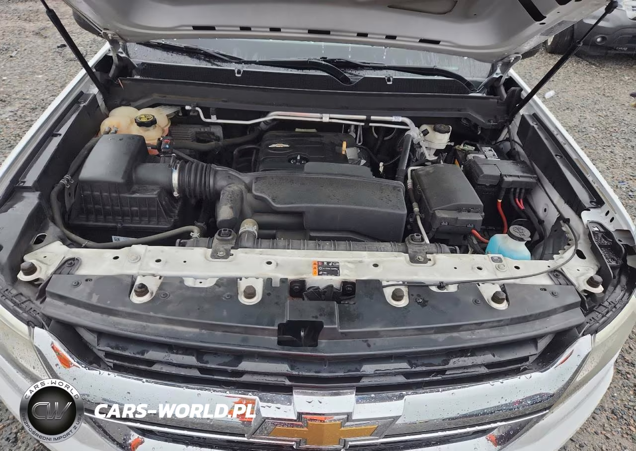 2019 Chevrolet Colorado VIN:1GCHSBEA5K1120707 - 11