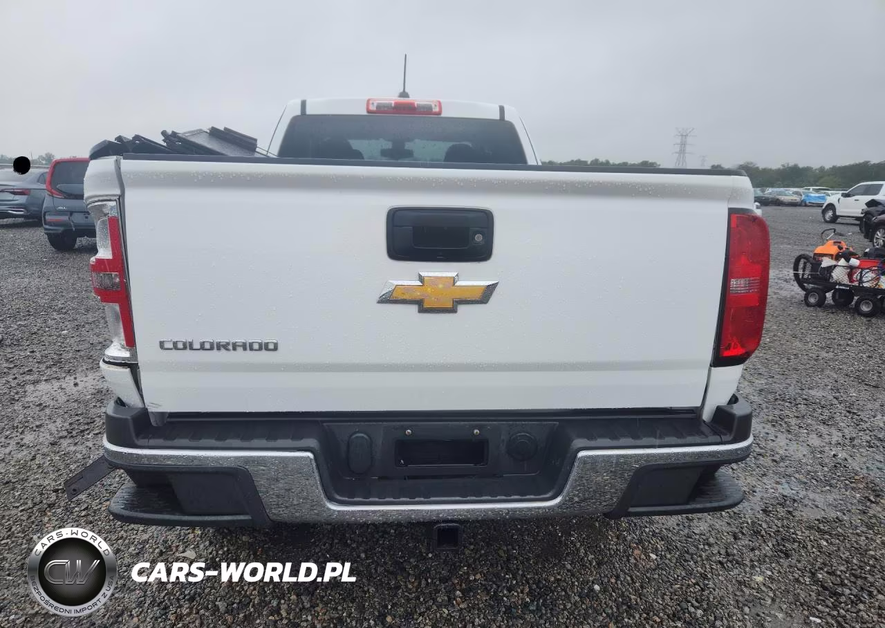 2019 Chevrolet Colorado VIN:1GCHSBEA5K1120707 - 6