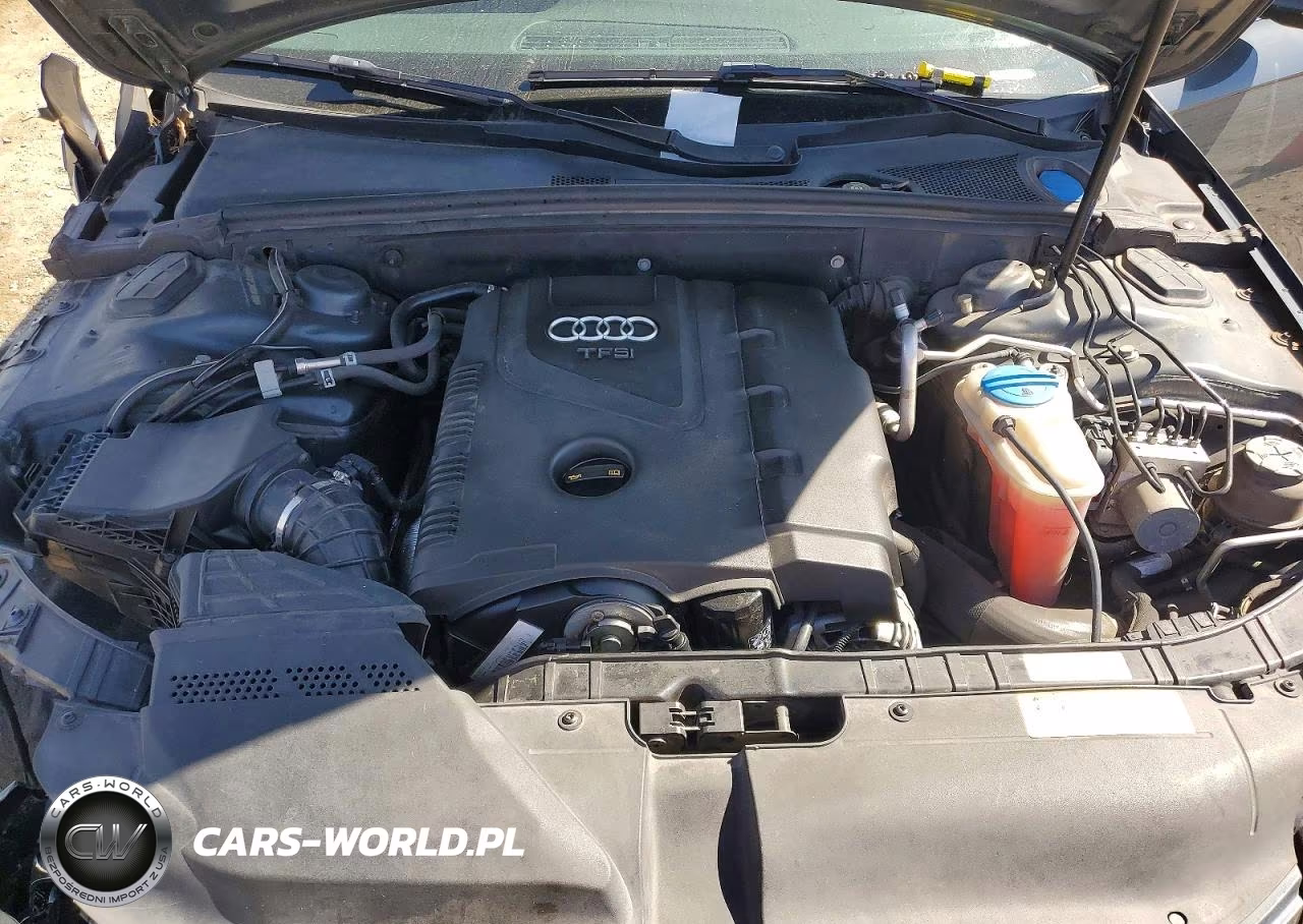 2010 Audi A4 Premium Plus VIN:WAUFFAFL2AN061898 - 11