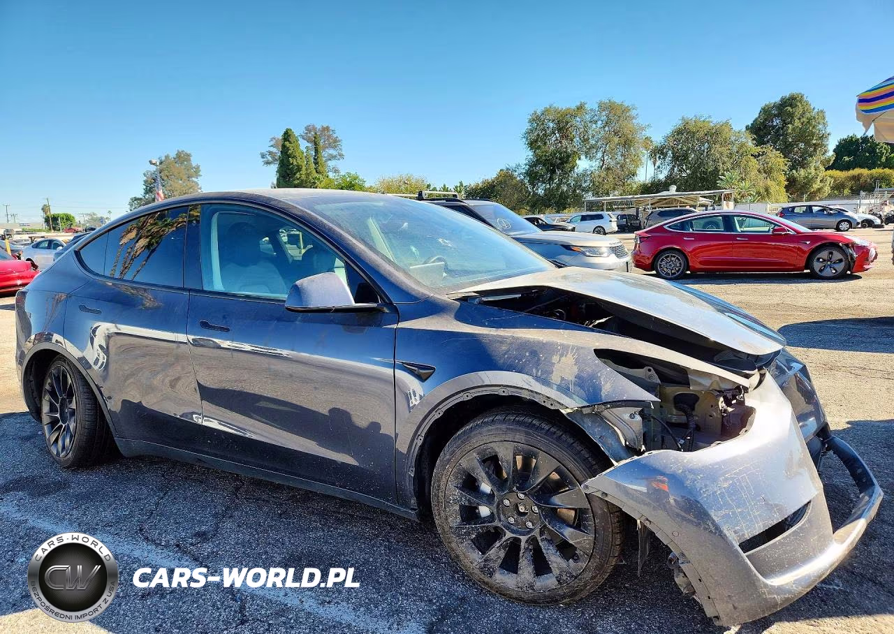 2022 Tesla Model Y VIN:7SAYGDEE9NF355870 - 4