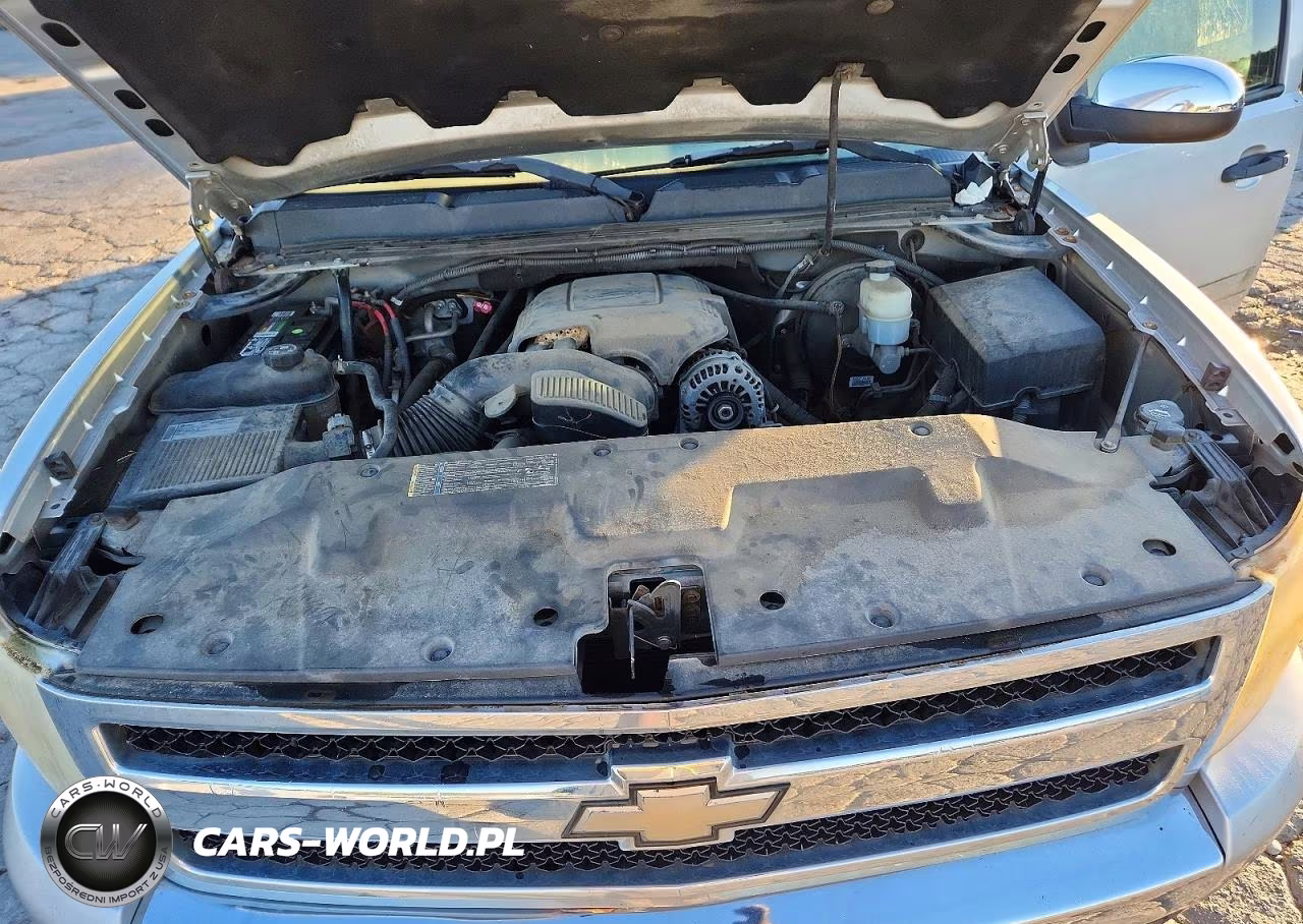 2010 Chevrolet Silverado C1500 Ls VIN:3GCRCREA9AG207276 - 11