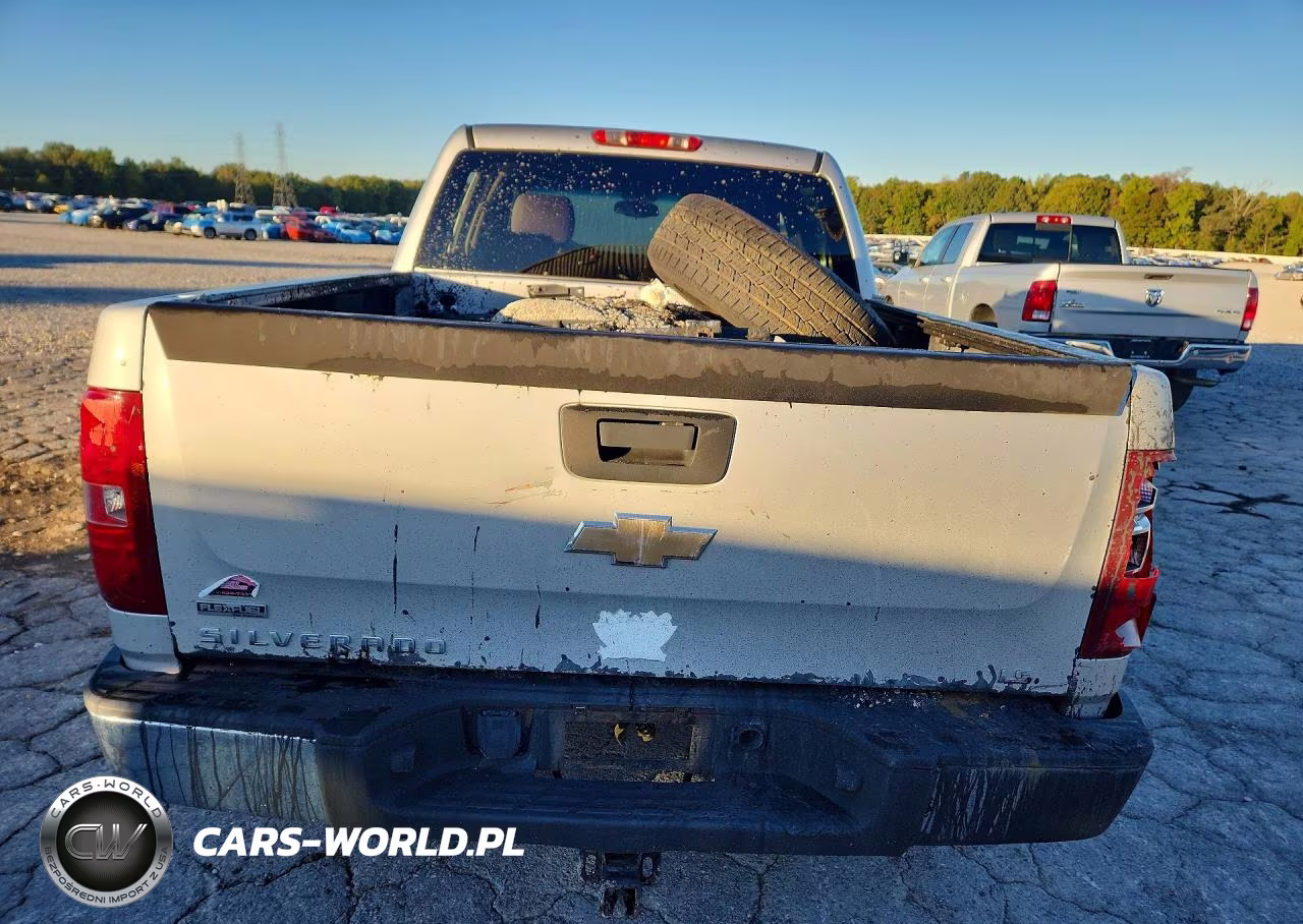 2010 Chevrolet Silverado C1500 Ls VIN:3GCRCREA9AG207276 - 6