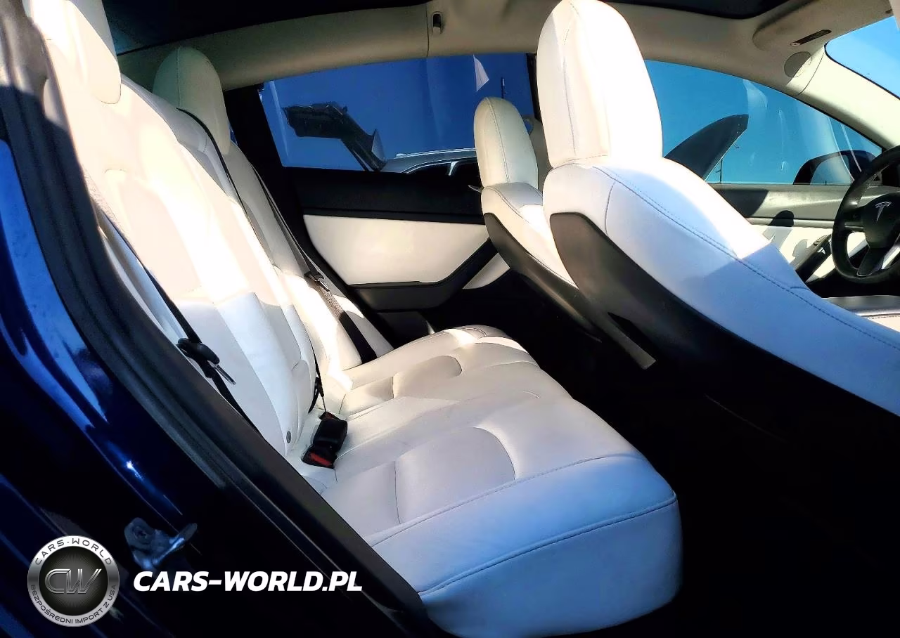 2019 Tesla Model 3 VIN:5YJ3E1EA3KF543076 - 10