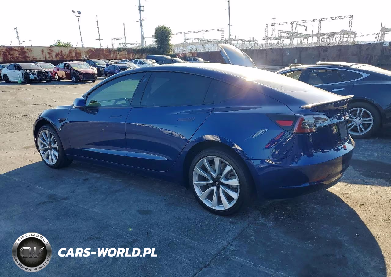 2019 Tesla Model 3 VIN:5YJ3E1EA3KF543076 - 2