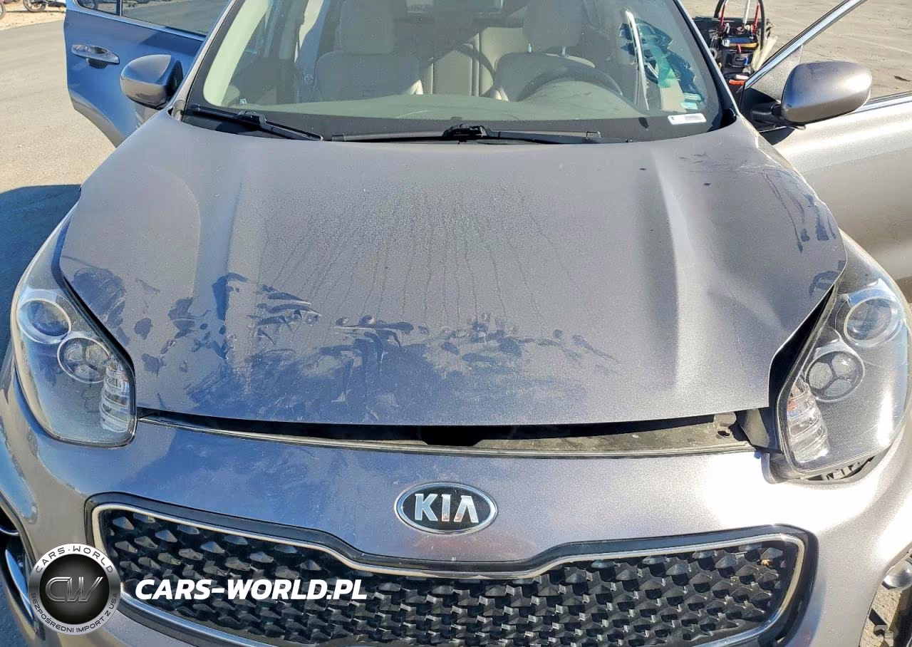 2017 Kia Sportage Lx VIN:KNDPMCAC7H7150560 - 12