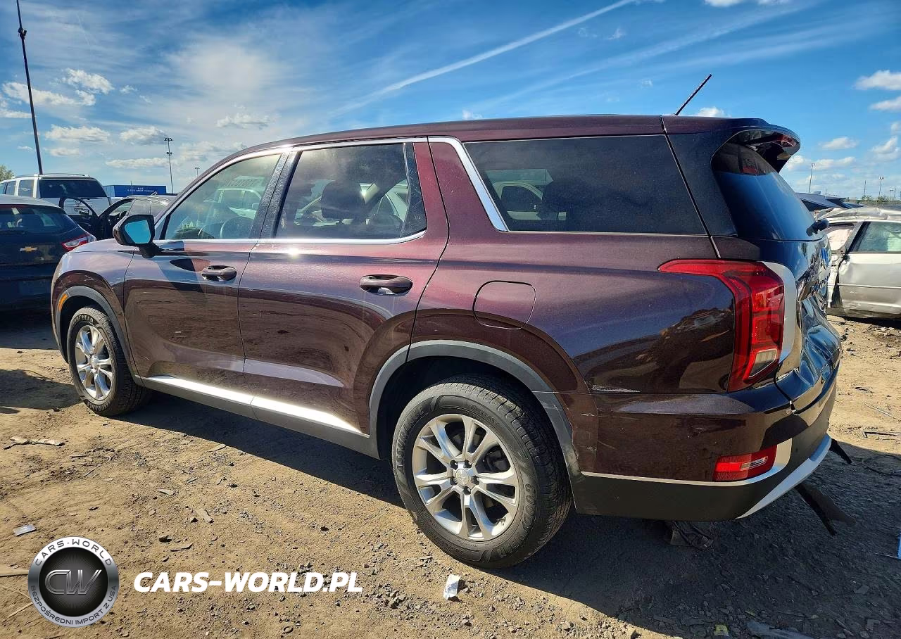 2022 Hyundai Palisade Se VIN:KM8R1DHEXNU383839 - 2