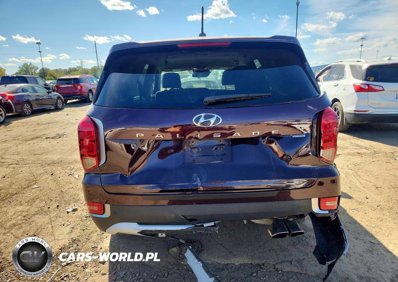 2022 Hyundai Palisade Se VIN:KM8R1DHEXNU383839 - 6