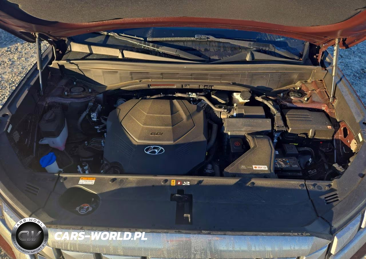 2023 Hyundai Palisade Calligraphy VIN:KM8R74GEXPU588337 - 12