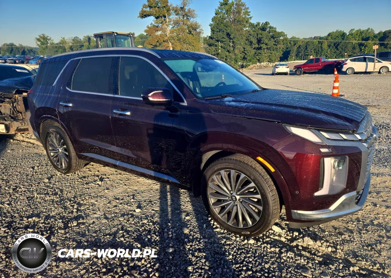 2023 Hyundai Palisade Calligraphy VIN:KM8R74GEXPU588337 - 4