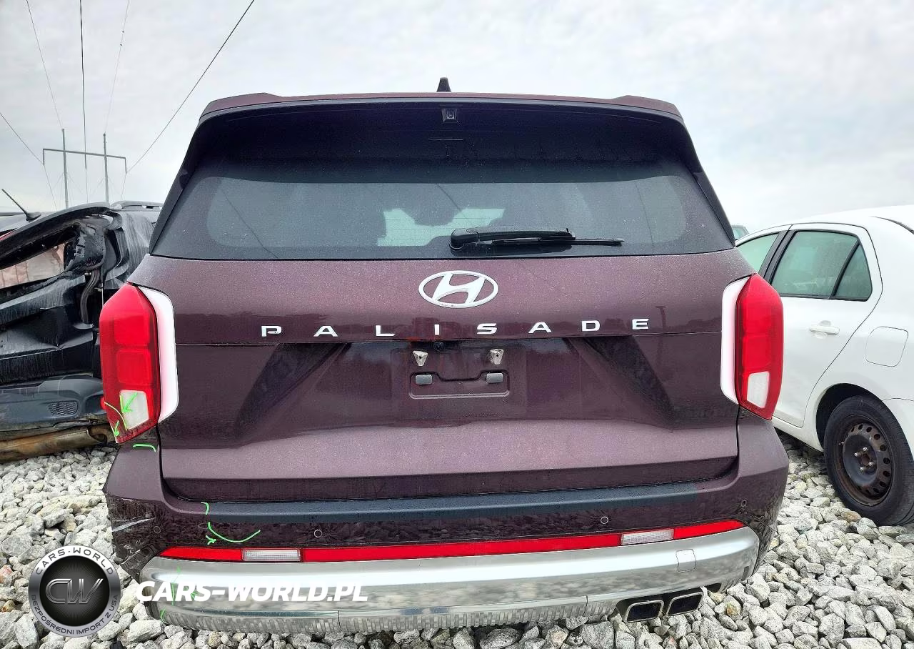 2023 Hyundai Palisade Calligraphy VIN:KM8R74GEXPU588337 - 6