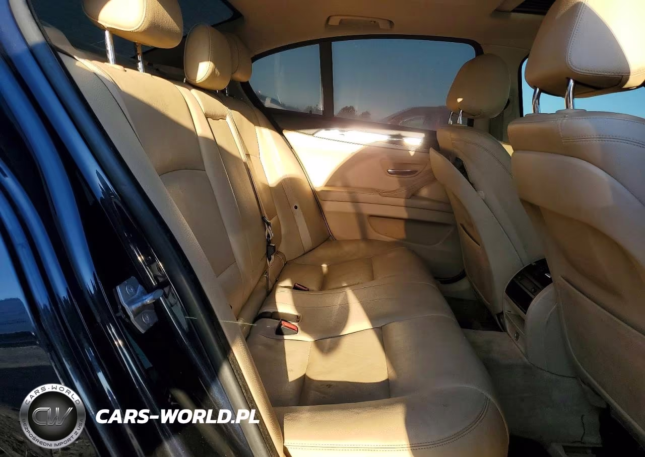 2015 BMW 528 Xi VIN:WBA5A7C51FD623001 - 10