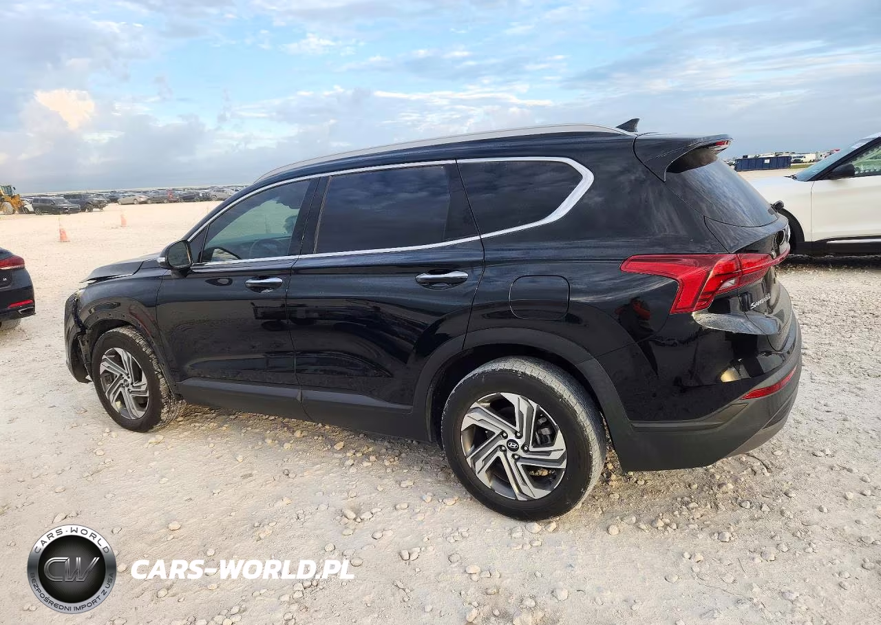 2023 Hyundai Santa Fe Sel VIN:5NMS24AJ7PH603524 - 2