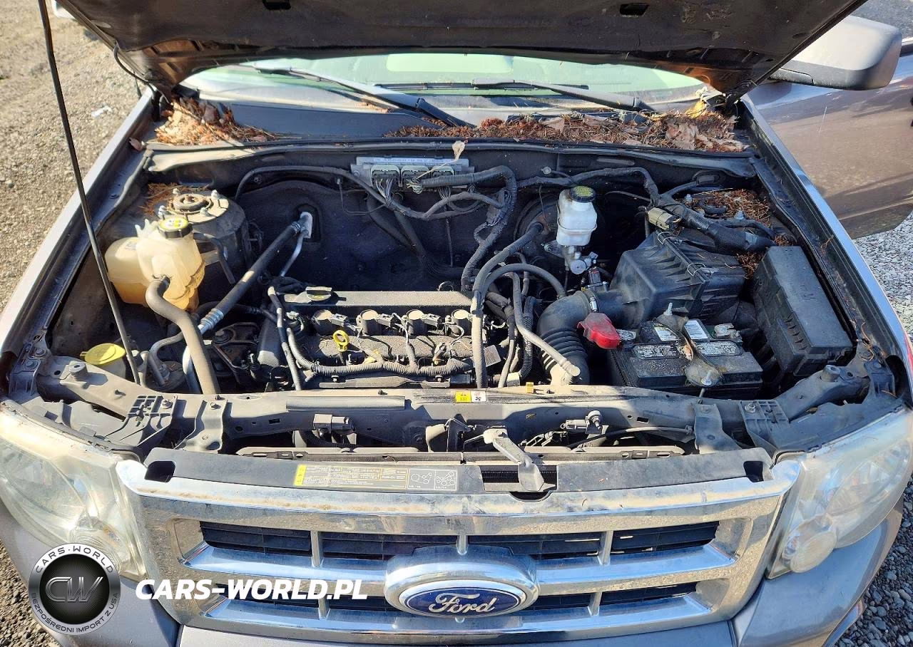 2012 Ford Escape Xlt VIN:1FMCU0D7XCKC09419 - 12