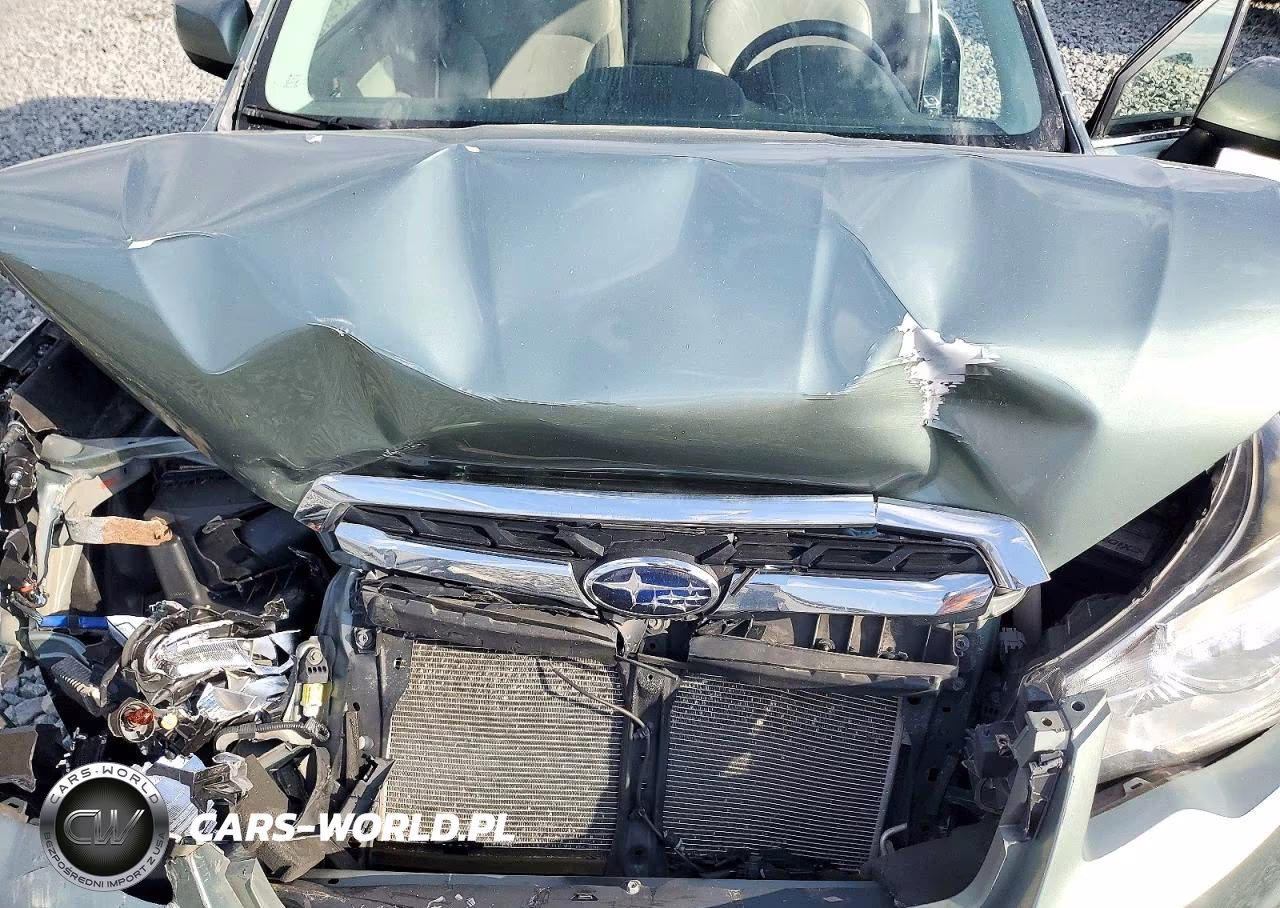 2017 Subaru Forester 2.5I Limited VIN:JF2SJAJC8HH490528 - 12