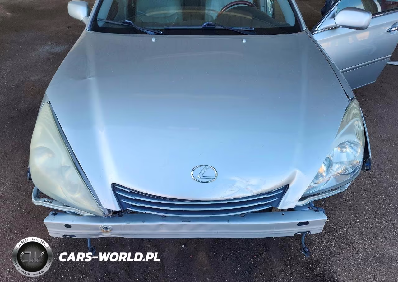 2003 Lexus Es 300 VIN:JTHBF30G230114543 - 11