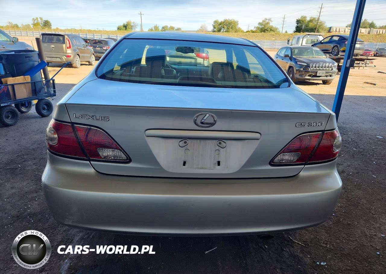 2003 Lexus Es 300 VIN:JTHBF30G230114543 - 6