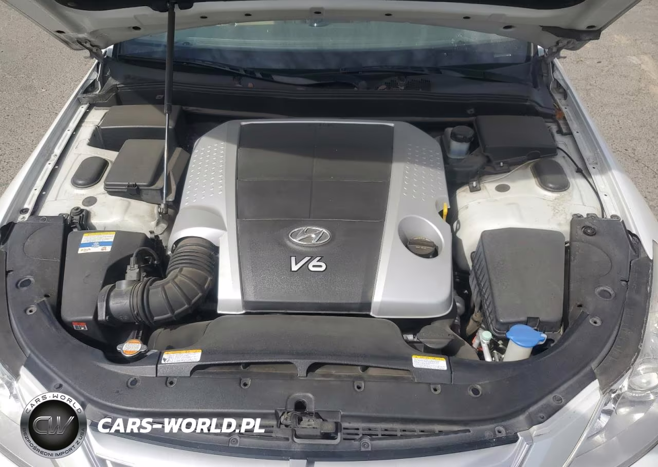 2011 Hyundai Genesis 3.8L VIN:KMHGC4DE9BU115660 - 11