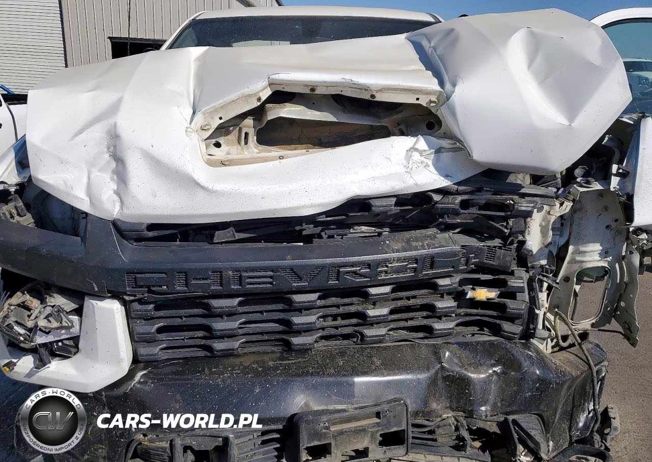 2021 Chevrolet Silverado C2500 Heavy Duty VIN:1GC0WLE76MF114903 - 11