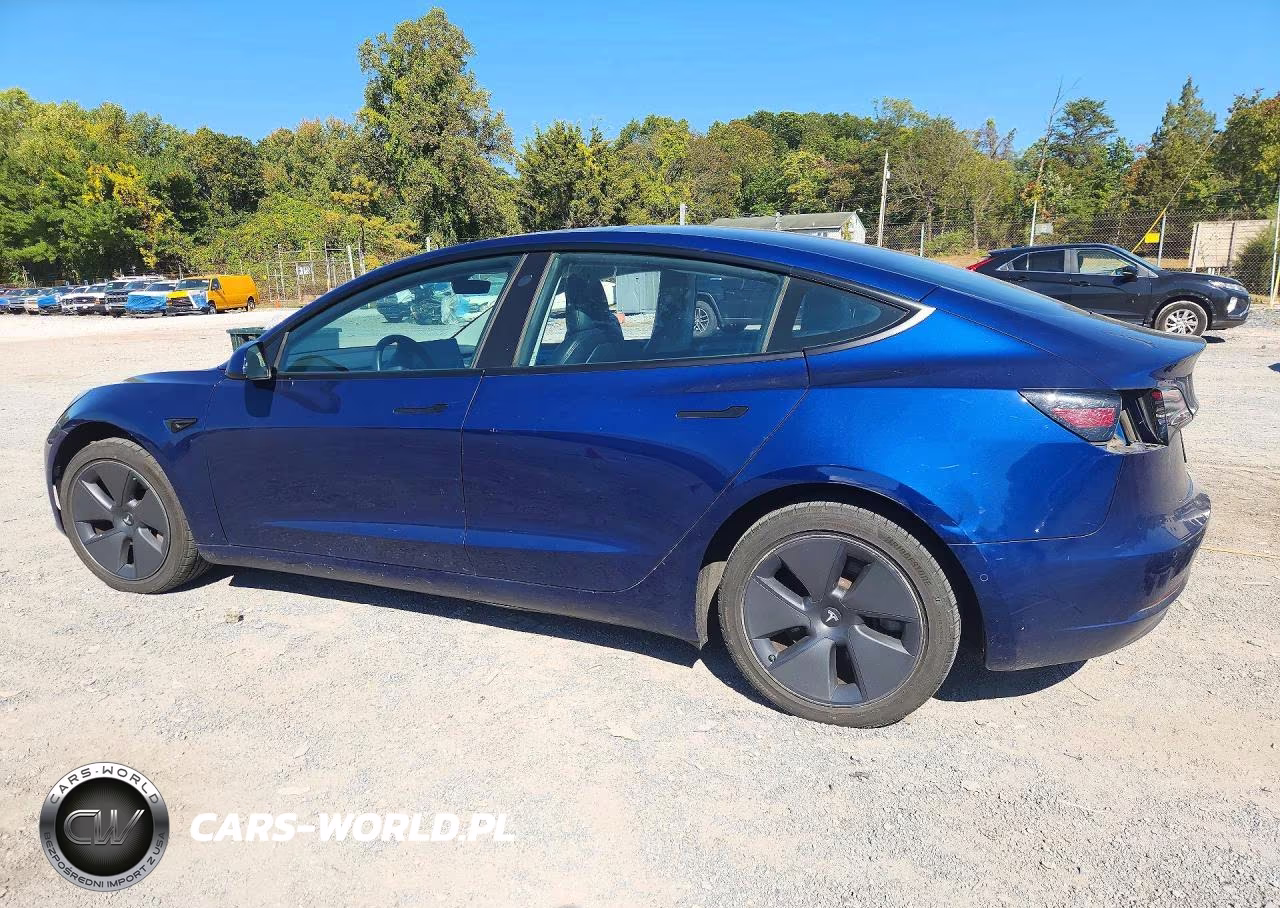 2022 Tesla Model 3 VIN:5YJ3E1EA2NF168253 - 2