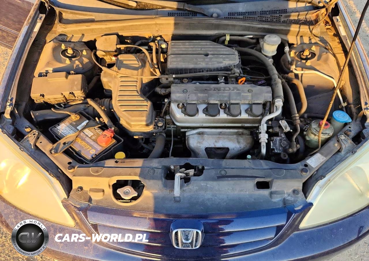 2003 Honda Civic Lx VIN:2HGES16543H593811 - 11