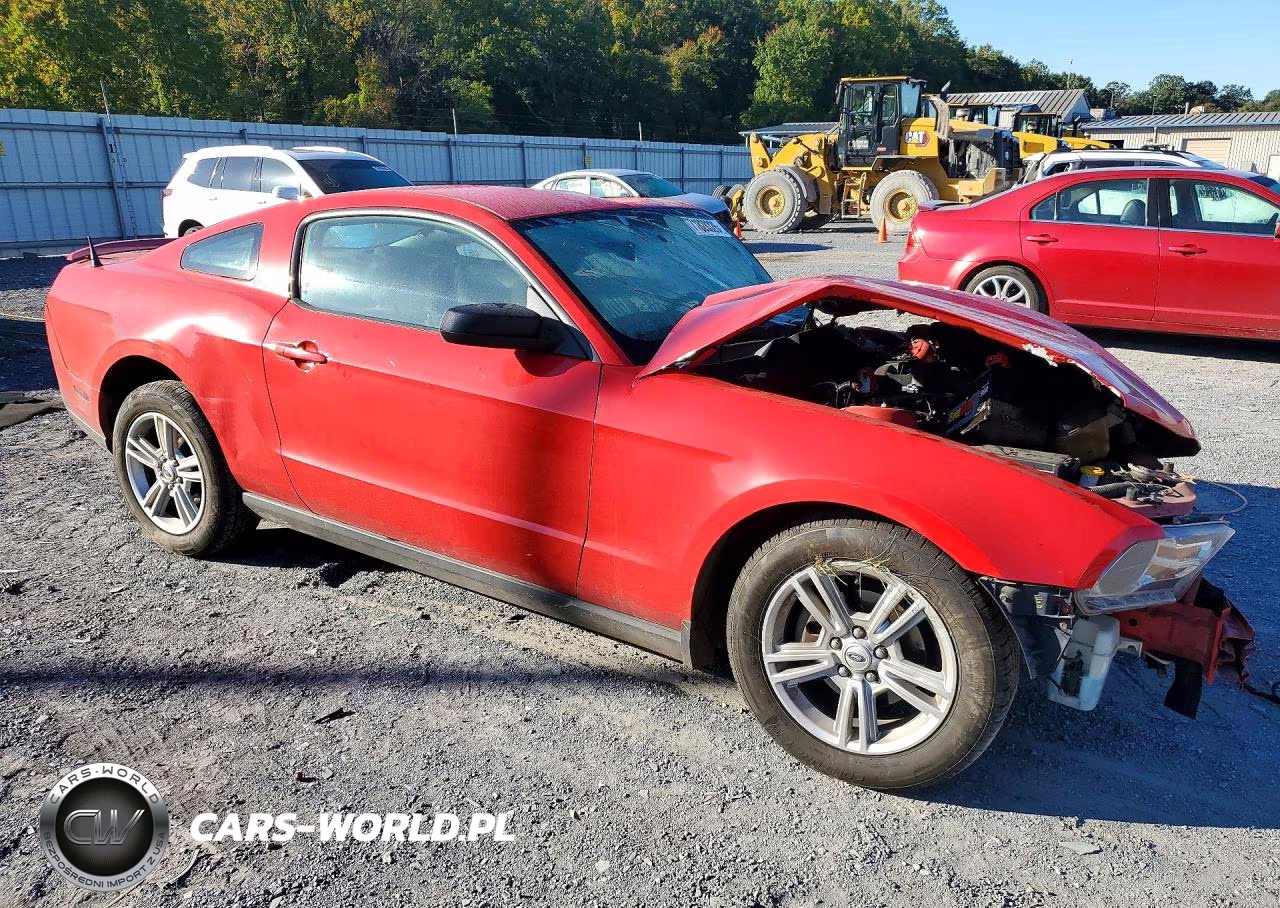 2010 Ford Mustang VIN:1ZVBP8ANXA5139387 - 4