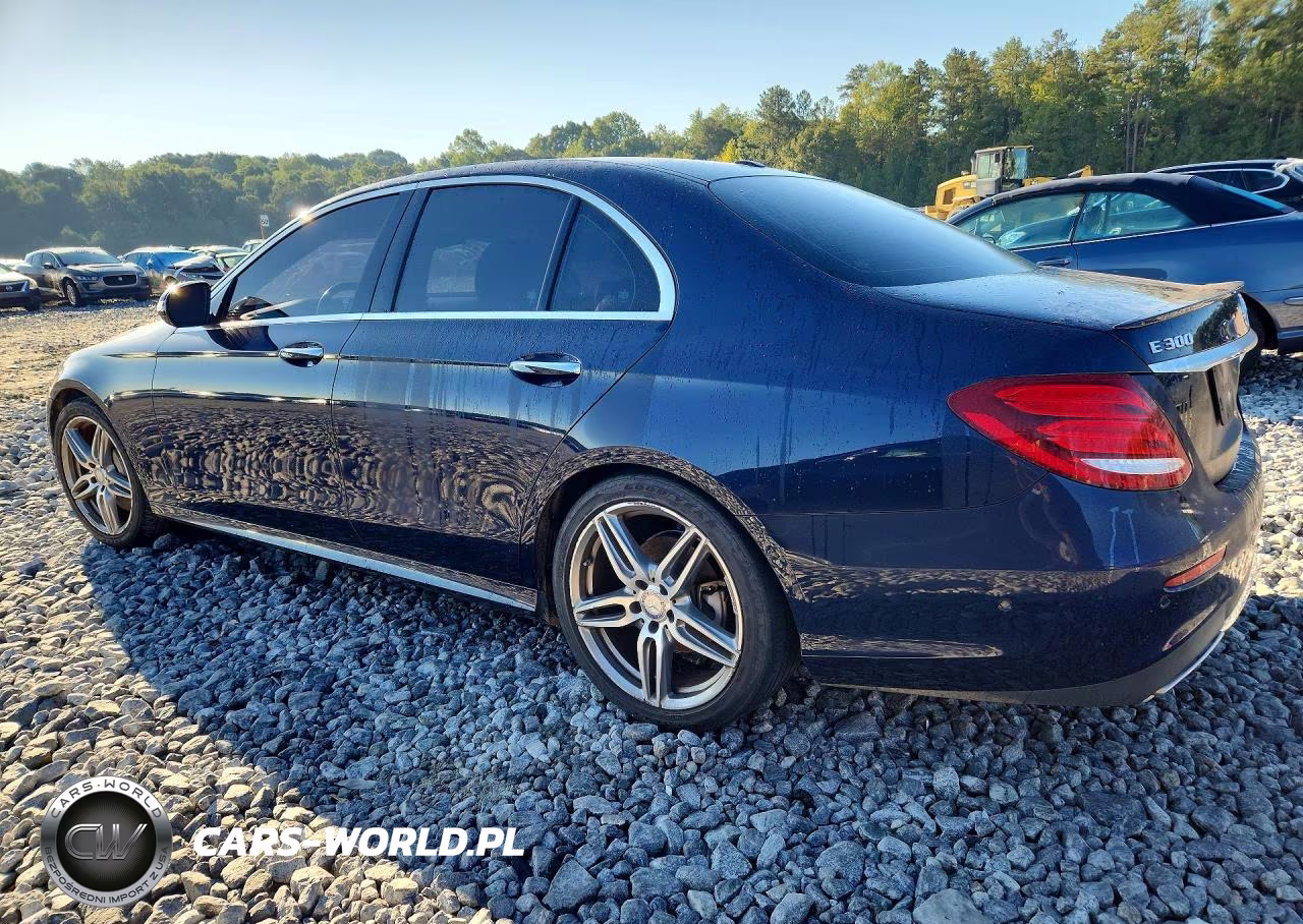 2017 Mercedes-Benz E 300 VIN:WDDZF4JB5HA100913 - 2