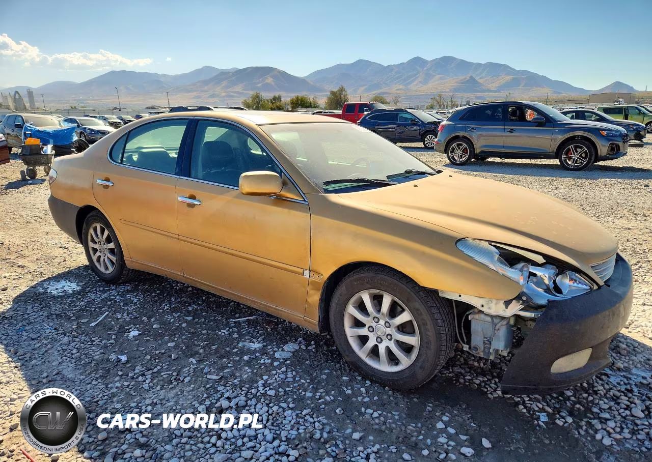 2002 Lexus Es 300 VIN:JTHBF30G025008416 - 4