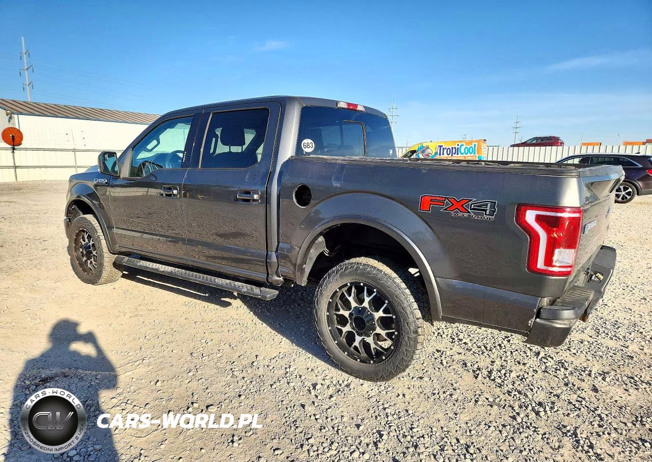 2016 Ford F150 Supercrew VIN:1FTEW1EFXGKD72483 - 2