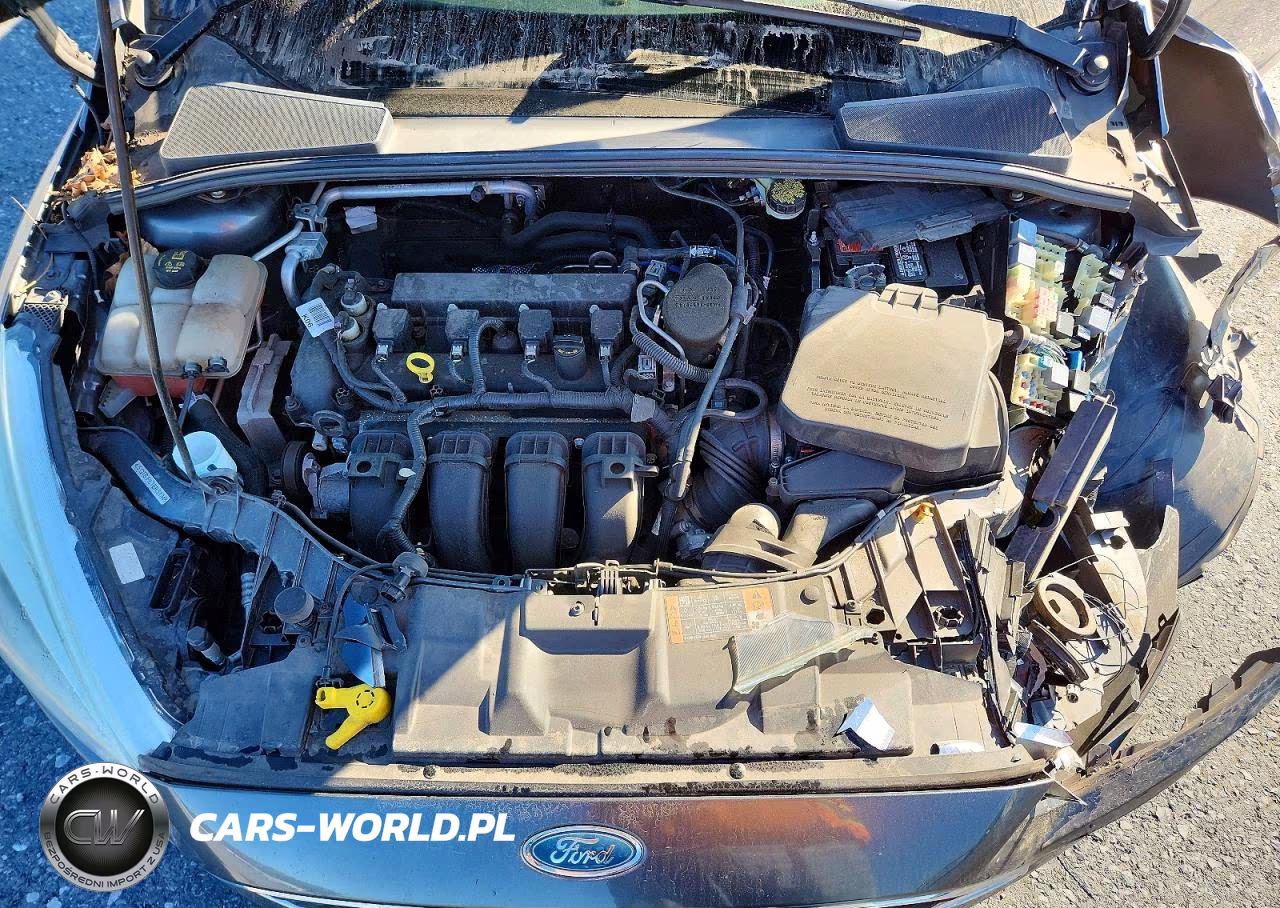 2015 Ford Focus Se VIN:1FADP3F29FL252186 - 11