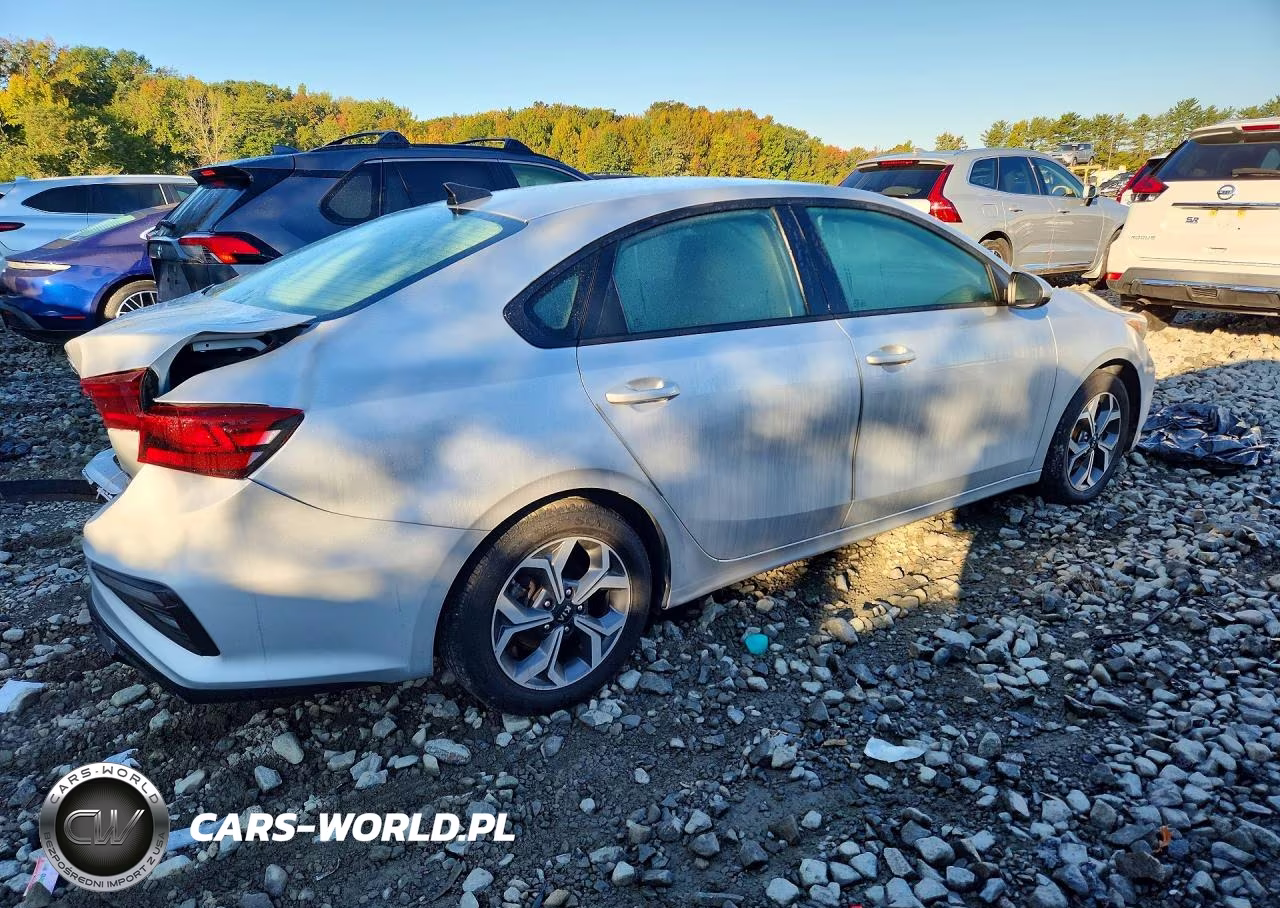 2020 Kia Forte Lxs VIN:3KPF24AD5LE204964 - 3