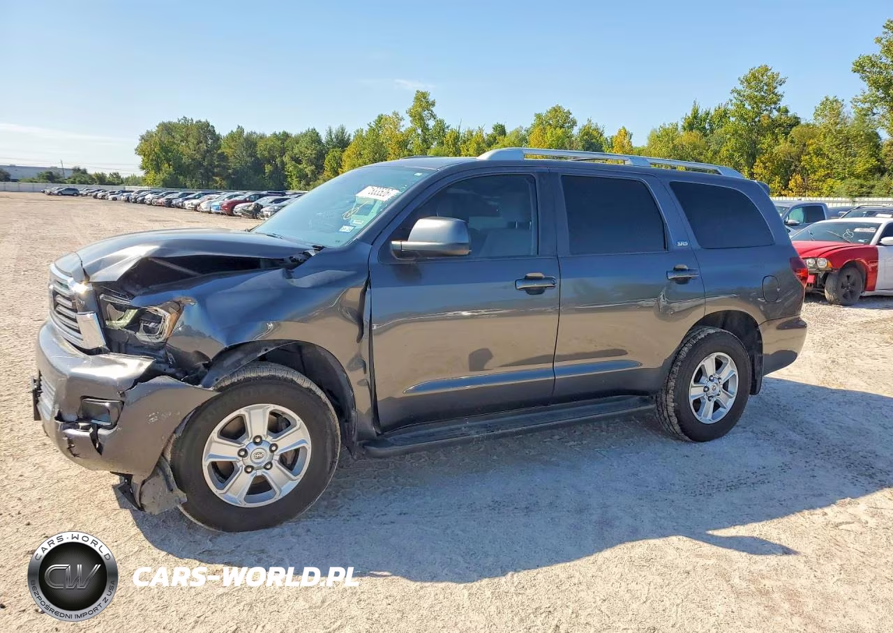 2019 Toyota Sequoia Sr5