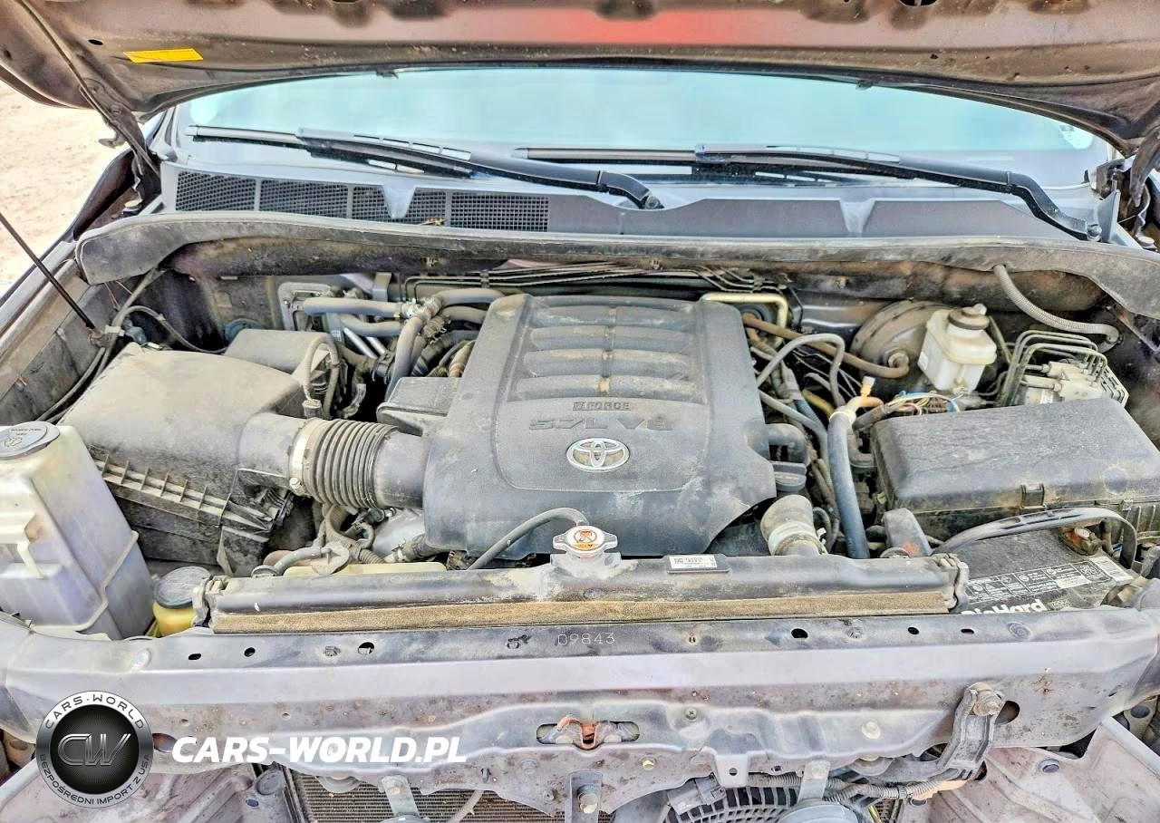2019 Toyota Sequoia Sr5 VIN:5TDZY5G16KS073062 - 12