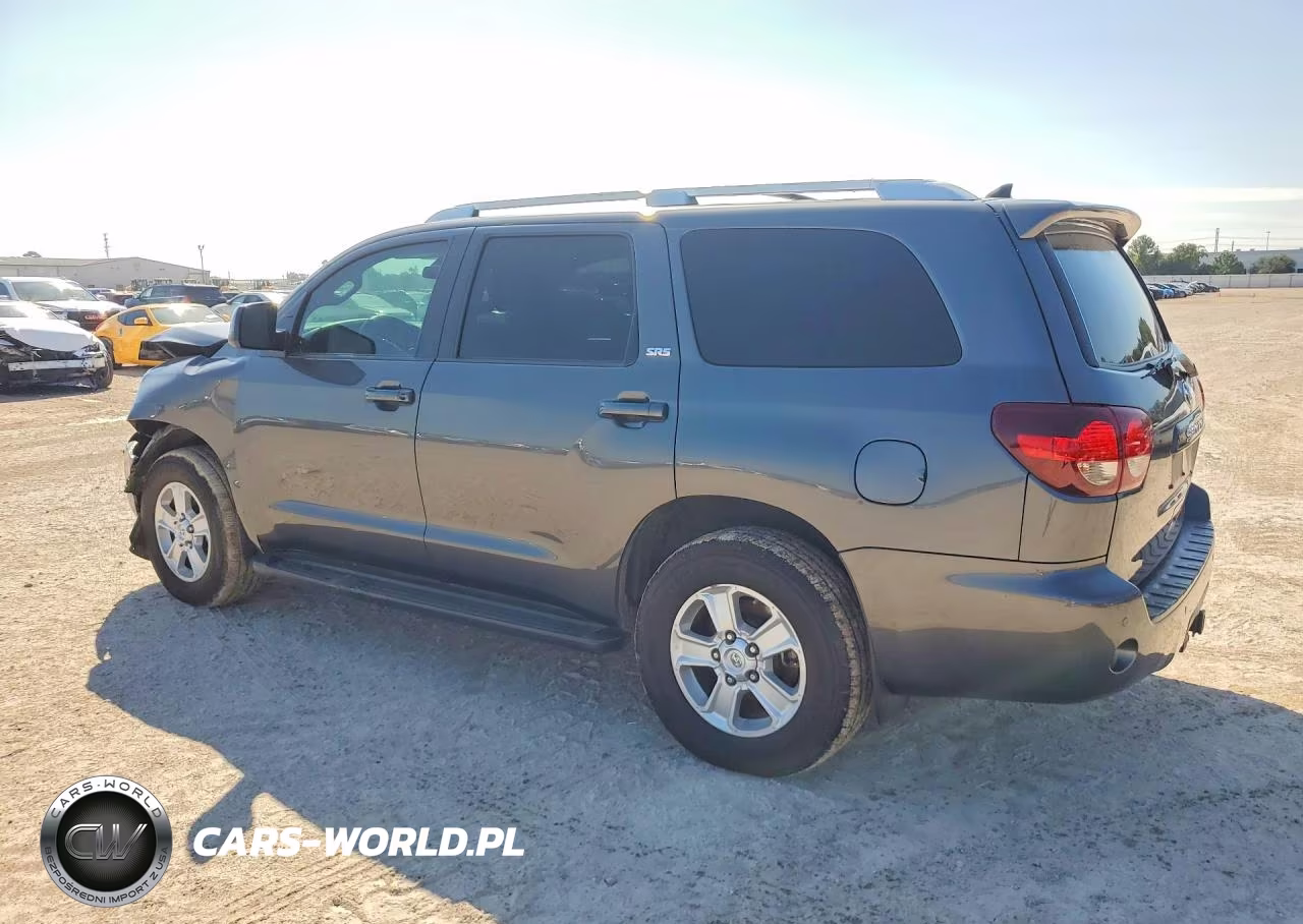 2019 Toyota Sequoia Sr5 VIN:5TDZY5G16KS073062 - 2