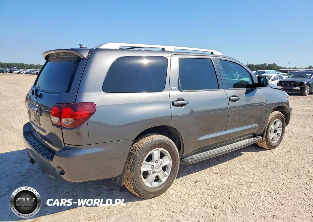 2019 Toyota Sequoia Sr5 VIN:5TDZY5G16KS073062 - 3