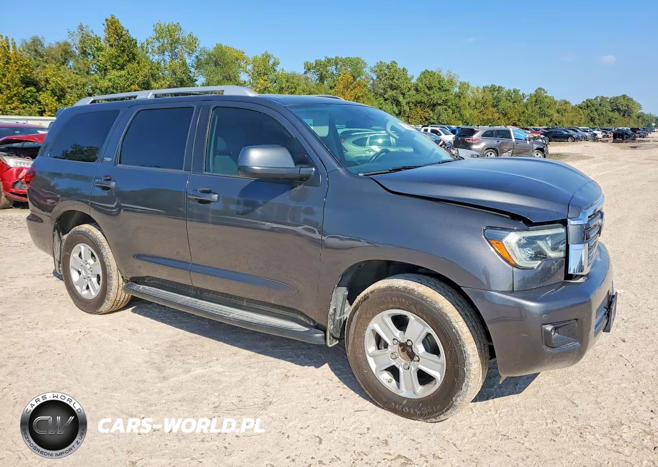 2019 Toyota Sequoia Sr5 VIN:5TDZY5G16KS073062 - 4