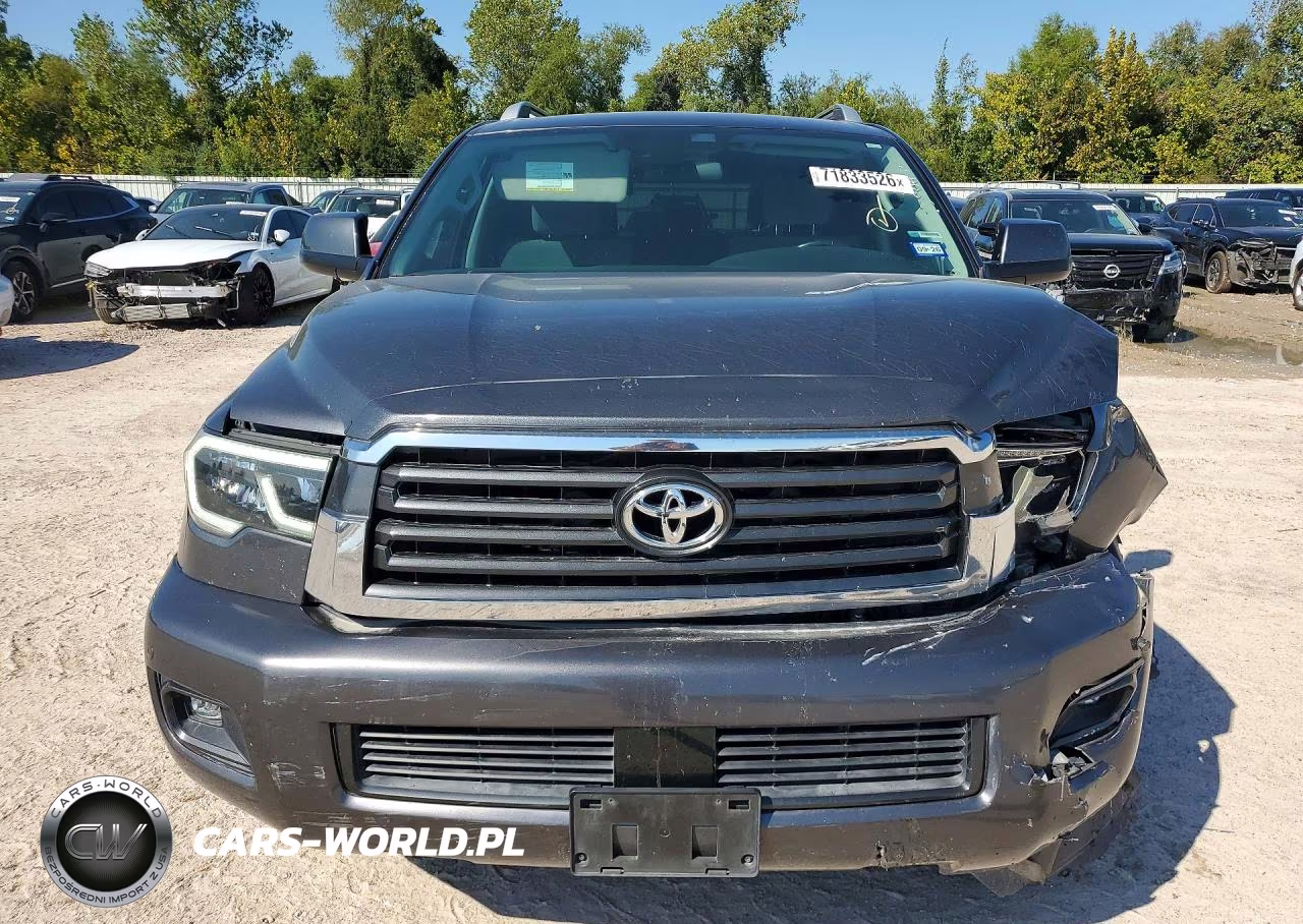 2019 Toyota Sequoia Sr5 VIN:5TDZY5G16KS073062 - 5