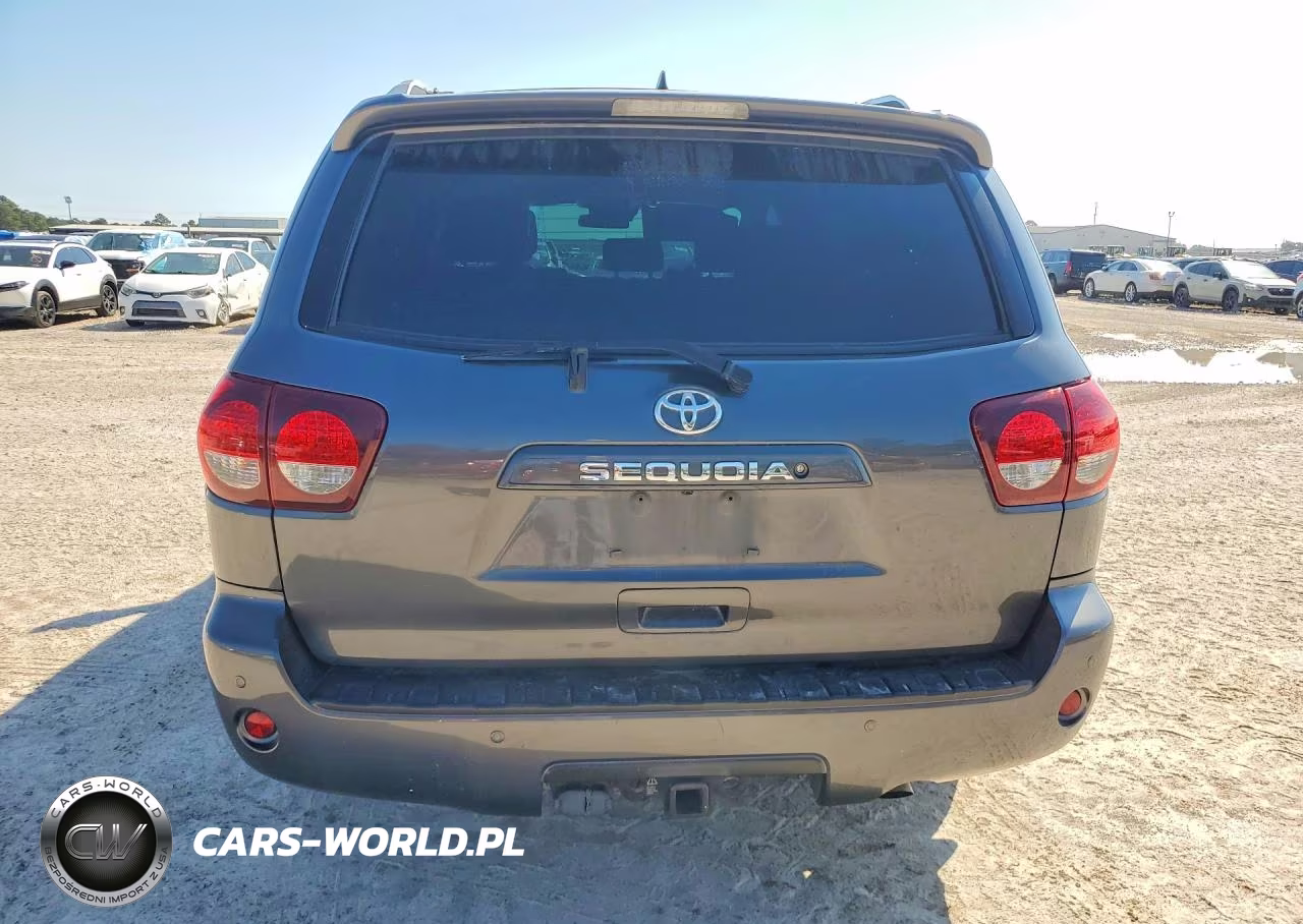 2019 Toyota Sequoia Sr5 VIN:5TDZY5G16KS073062 - 6