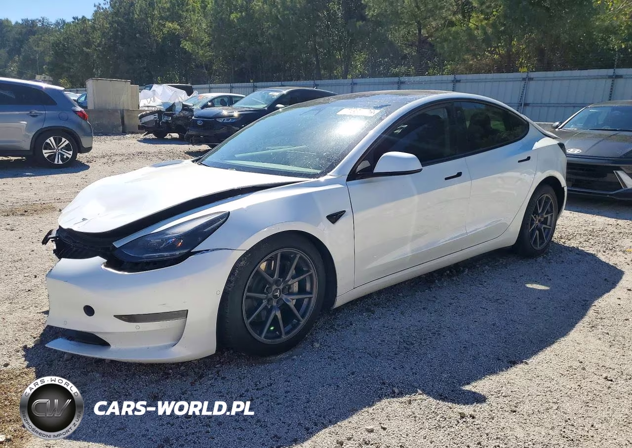 2021 Tesla Model 3 VIN:5YJ3E1EA2MF986497 - 1